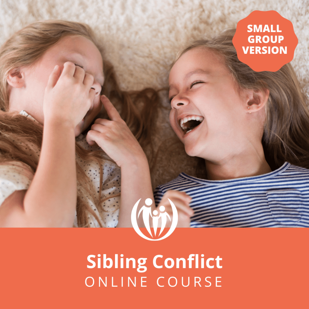 Sibling Conflict Online Course