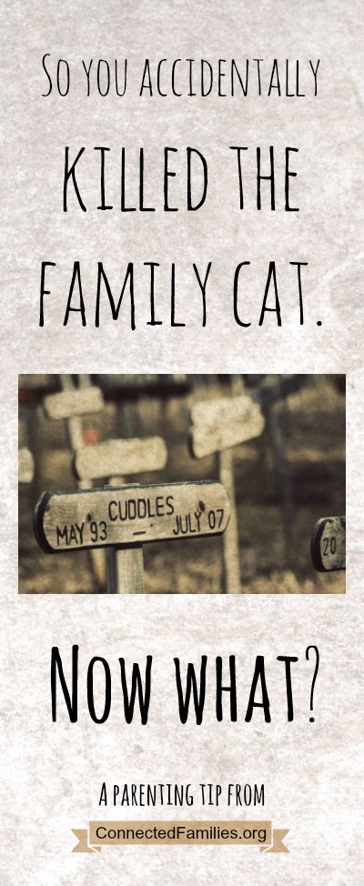 So you accidentally killed the family cat. Now what?