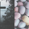 NW Resurrected life