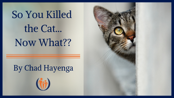 So You Killed The Cat….Now What?