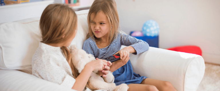 The Sibling Conflict E-Course... Wait, Are They Fighting AGAIN?