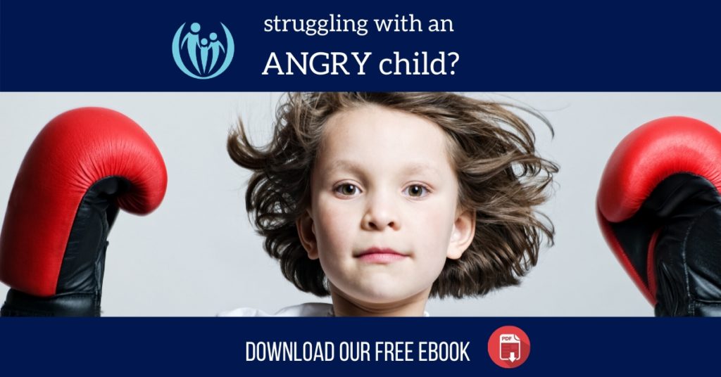 4 Ways to Deal with Your Child’s Violent Outbursts 5 Optimized 1200 Anger ebook