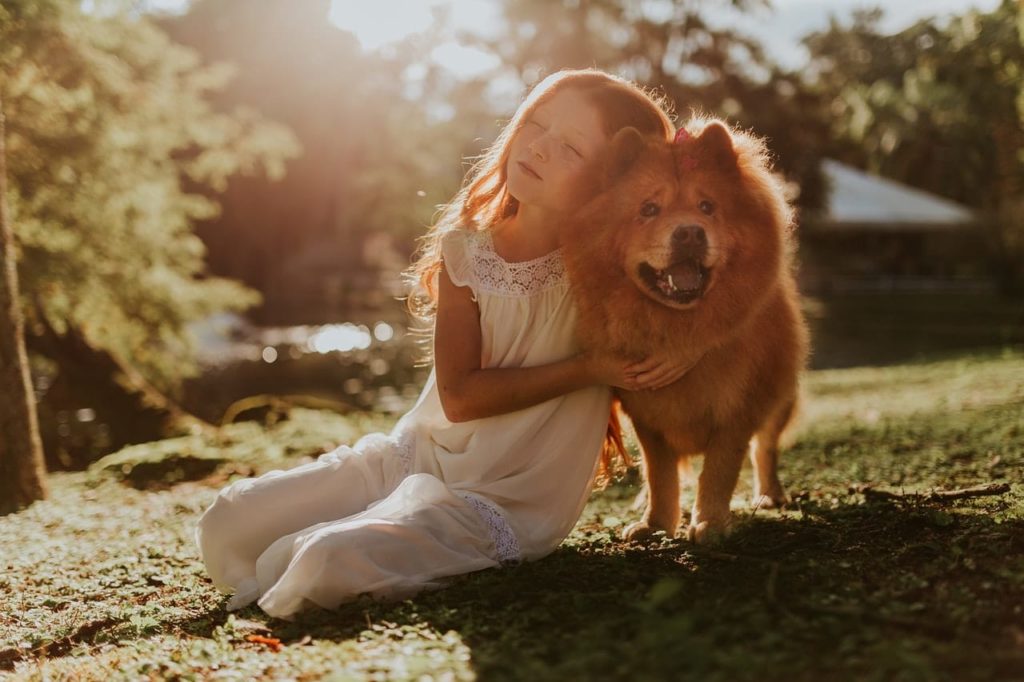 Dogs give calming sensory input