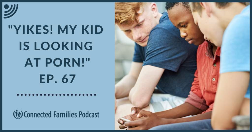 Wordpress Toddler Porn - Yikes! My Kid Is Looking at Porn!â€ | Episode 67 | Connected Families