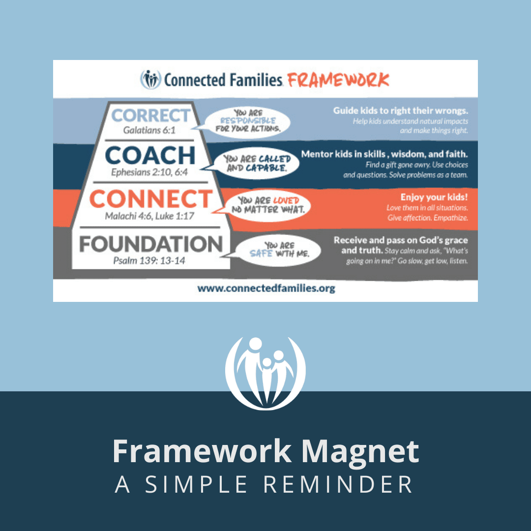 Framework Magnet