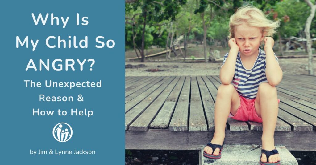 why is my child so angry? the unexpected reason & how to help. by Jim & Lynne Jackson