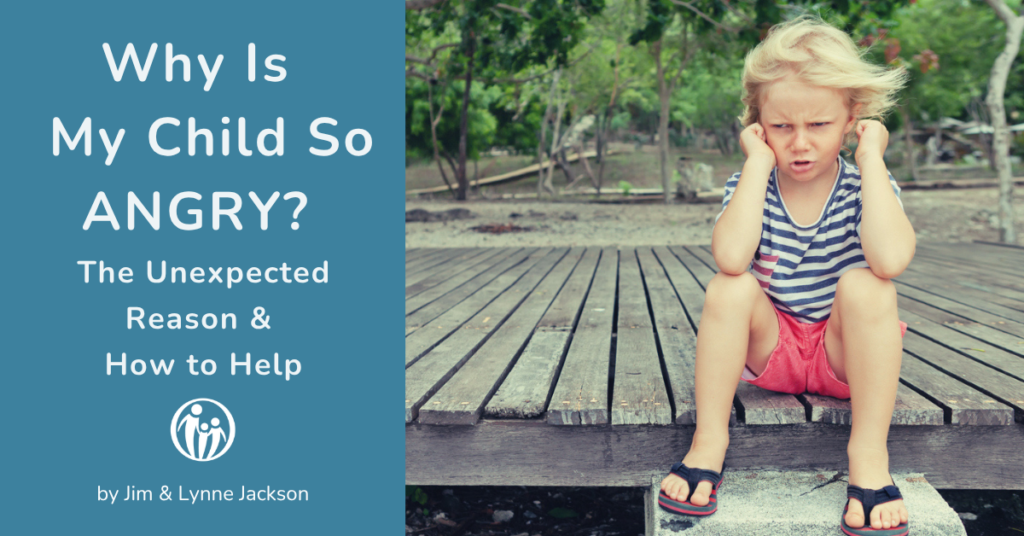 Why Is My Child So Angry? The Unexpected Reason & How to Help 1 why is my child so angry? the unexpected reason & how to help. by Jim & Lynne Jackson