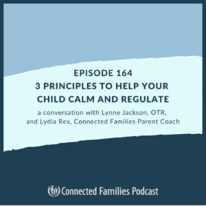 3 Principles to Help Your Child Calm and Regulate