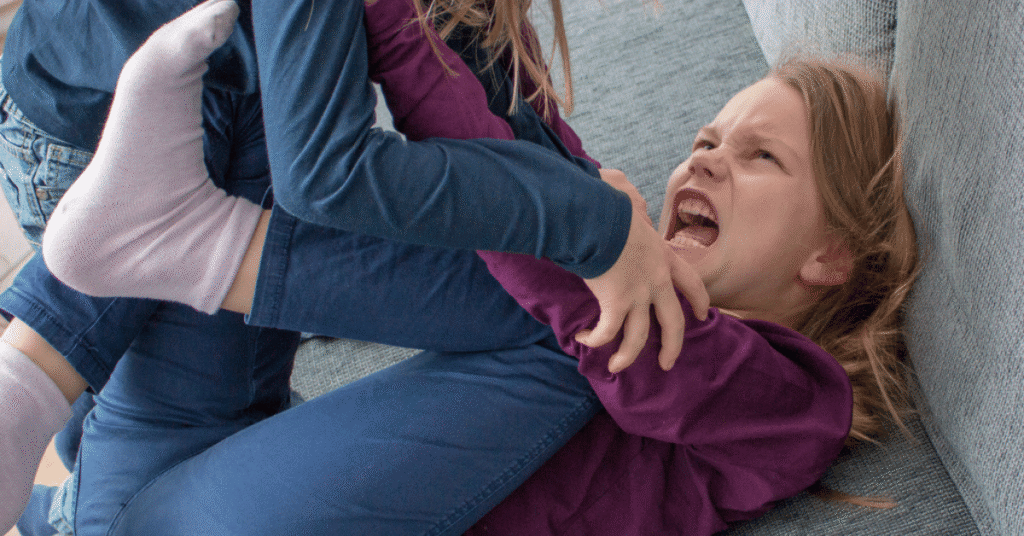 Siblings Arguing Again? 3 Tips to Decide If It's Time to Step In & Help Your Kids 3 NW Sibling squabbles