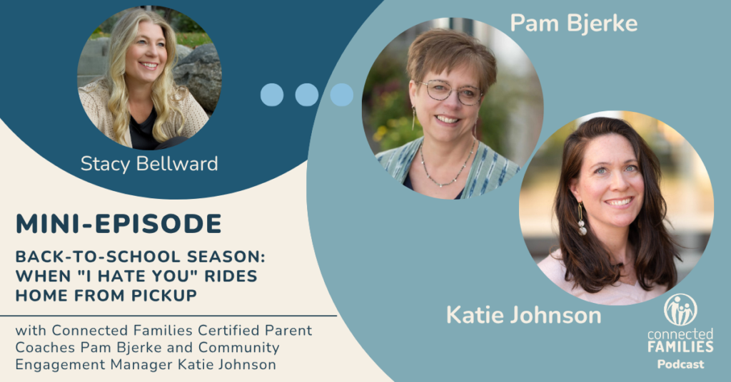 Ep. 312 Mini with Pam and Katie 1
